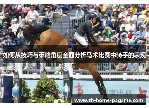 如何从技巧与策略角度全面分析马术比赛中骑手的表现