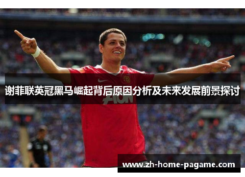 谢菲联英冠黑马崛起背后原因分析及未来发展前景探讨
