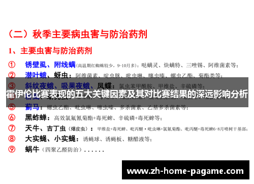 霍伊伦比赛表现的五大关键因素及其对比赛结果的深远影响分析