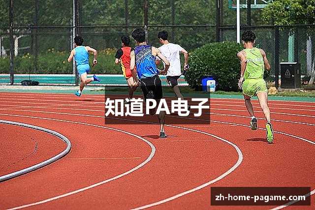 知道PA电子